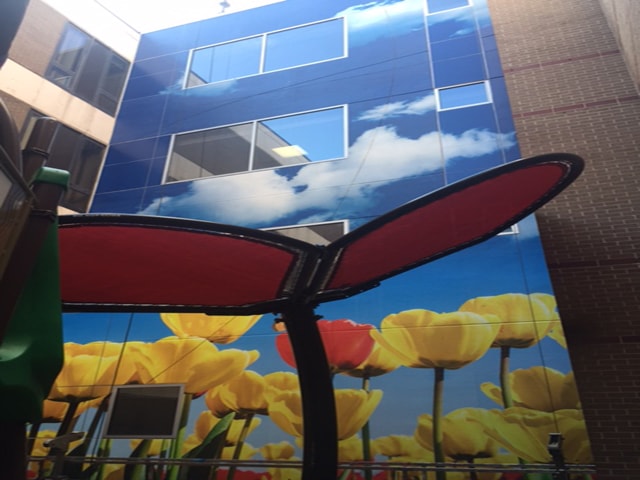 Full Color Digitally Printed Outdoor Vinyl Wall Graphic