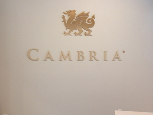 Brushed Bronzed Logo