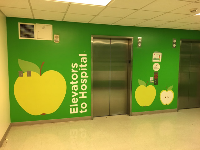 Full Color Wall Wrap Graphic