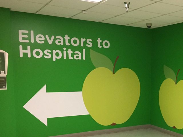 Full Color Wall Wrap Graphic