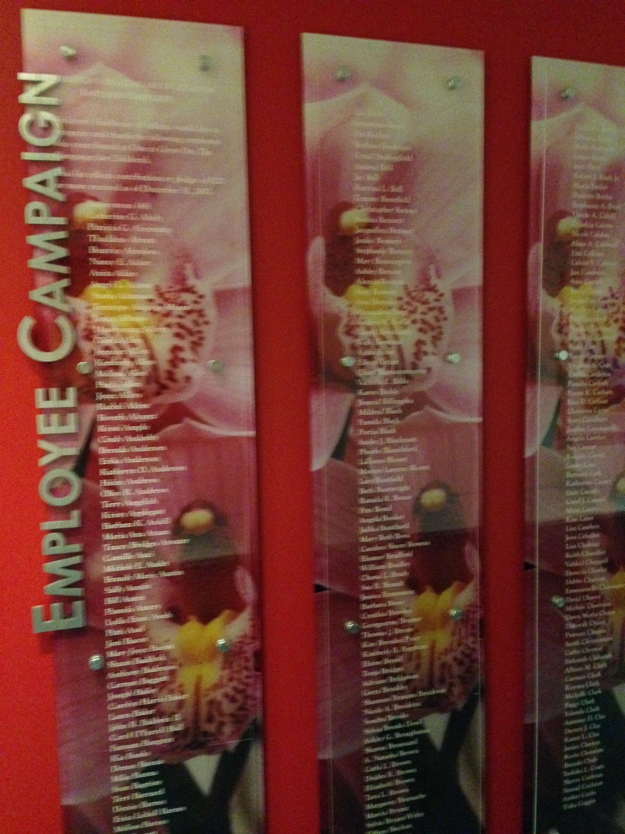 Clear Acrylic Panels with Front Surface Vinyl Lettering and Second Surface Digital Print mounted with stand offs