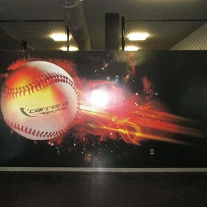 Carerra Sports mural