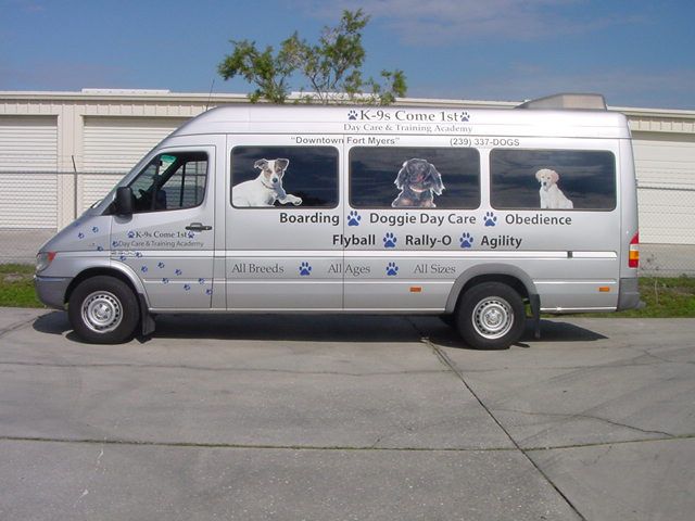 custom Sprinter graphics