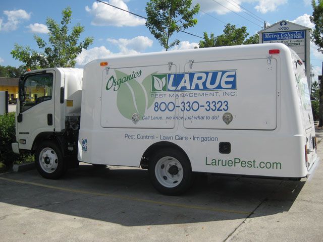 custom truck graphics