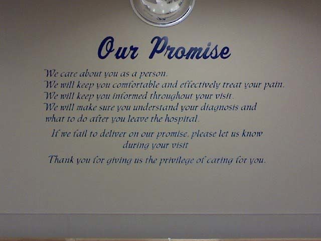 Vinyl Graphics & Lettering in [city]